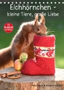 Eichhörnchen - kleine Tiere, große Liebe (Tischkalender 2022 DIN A5 hoch)