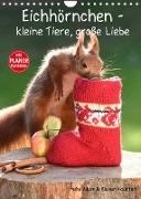 Eichhörnchen - kleine Tiere, große Liebe (Wandkalender 2022 DIN A4 hoch)