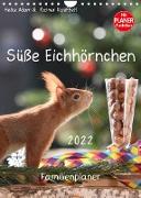 Süße Eichhörnchen (Wandkalender 2022 DIN A4 hoch)