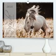 Pferde - Spiegel deiner Seele (Premium, hochwertiger DIN A2 Wandkalender 2022, Kunstdruck in Hochglanz)