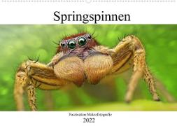Faszination Makrofotografie: Springspinnen (Wandkalender 2022 DIN A2 quer)