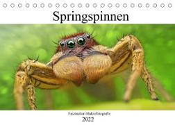 Faszination Makrofotografie: Springspinnen (Tischkalender 2022 DIN A5 quer)
