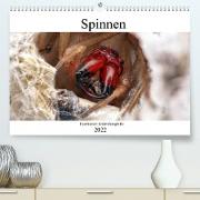 Faszination Makrofotografie: Spinnen (Premium, hochwertiger DIN A2 Wandkalender 2022, Kunstdruck in Hochglanz)