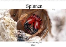 Faszination Makrofotografie: Spinnen (Wandkalender 2022 DIN A2 quer)