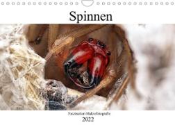 Faszination Makrofotografie: Spinnen (Wandkalender 2022 DIN A4 quer)