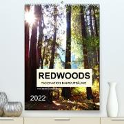 Redwoods - Faszination Mammutbäume (Premium, hochwertiger DIN A2 Wandkalender 2022, Kunstdruck in Hochglanz)