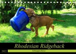 Rhodesian Ridgeback - Schnappschüsse - (Tischkalender 2022 DIN A5 quer)