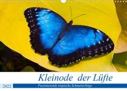 Kleinode der Lüfte - Faszinierende tropische Schmetterlinge (Wandkalender 2022 DIN A3 quer)