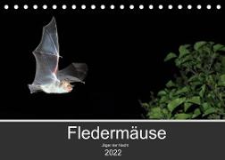 Fledermäuse - Jäger der Nacht (Tischkalender 2022 DIN A5 quer)