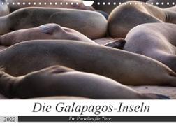 Galapagos-Inseln - Ein Paradies für Tiere (Wandkalender 2022 DIN A4 quer)