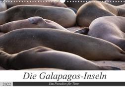 Galapagos-Inseln - Ein Paradies für Tiere (Wandkalender 2022 DIN A3 quer)
