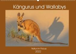 Kängururs und Wallabys (Wandkalender 2022 DIN A2 quer)