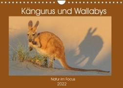 Kängururs und Wallabys (Wandkalender 2022 DIN A4 quer)