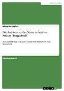 Die Ambivalenz der Natur in Adalbert Stifters "Bergkristall"