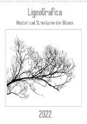 LignoGrafica - Muster und Strukturen der Bäume (Wandkalender 2022 DIN A3 hoch)