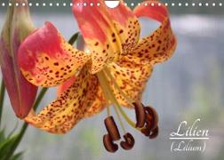 Lilien (Lilium) (Wandkalender 2022 DIN A4 quer)
