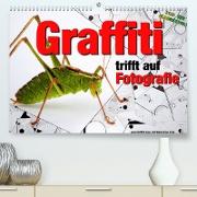 Graffiti trifft auf Fotografie (Premium, hochwertiger DIN A2 Wandkalender 2022, Kunstdruck in Hochglanz)