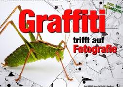 Graffiti trifft auf Fotografie (Wandkalender 2022 DIN A2 quer)
