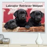 Labrador Retriever Welpen (Premium, hochwertiger DIN A2 Wandkalender 2022, Kunstdruck in Hochglanz)