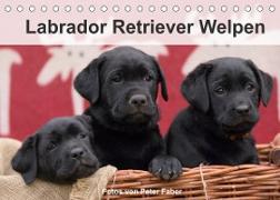 Labrador Retriever Welpen (Tischkalender 2022 DIN A5 quer)