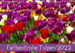 Farbenfrohe Tulpen 2022 (Wandkalender 2022 DIN A4 quer)