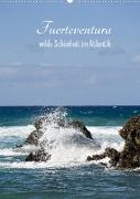 Fuerteventura, wilde Schönheit im Atlantik (Wandkalender 2022 DIN A2 hoch)