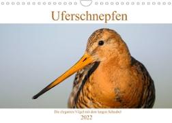 Uferschnepfen - Die eleganten Vögel mit dem langen Schnabel (Wandkalender 2022 DIN A4 quer)