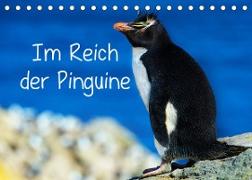 Im Reich der Pinguine (Tischkalender 2022 DIN A5 quer)