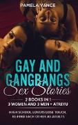 Gay and Gangbangs Sex Stories (2 Books in 1)