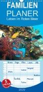 Leben im Roten Meer - Unterwasserfotos - Familienplaner hoch (Wandkalender 2022 , 21 cm x 45 cm, hoch)