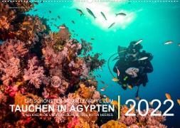 Die schönsten Korallenriffe zum Tauchen in Ägypten (Wandkalender immerwährend DIN A2 quer)