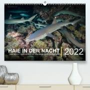 Haie in der Nacht (Premium, hochwertiger DIN A2 Wandkalender 2022, Kunstdruck in Hochglanz)