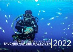 Die schönsten Korallenriffe zum Tauchen auf den Malediven (Wandkalender immerwährend DIN A3 quer)
