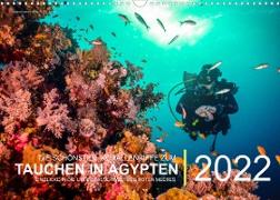 Die schönsten Korallenriffe zum Tauchen in Ägypten (Wandkalender immerwährend DIN A3 quer)