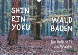 Shinrin yoku - Waldbaden 2022 (Wandkalender 2022 DIN A3 quer)