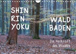 Shinrin yoku - Waldbaden 2022 (Wandkalender 2022 DIN A4 quer)