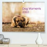 Dog Moments 2022 (Premium, hochwertiger DIN A2 Wandkalender 2022, Kunstdruck in Hochglanz)