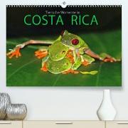 COSTA RICA - Tierische Momente (Premium, hochwertiger DIN A2 Wandkalender 2022, Kunstdruck in Hochglanz)