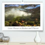 Unter Wasser in Bächen und Flüssen (Premium, hochwertiger DIN A2 Wandkalender 2022, Kunstdruck in Hochglanz)