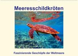 Meeresschildkröten - Faszinierende Geschöpfe der Weltmeere (Wandkalender 2022 DIN A2 quer)