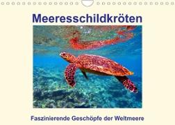 Meeresschildkröten - Faszinierende Geschöpfe der Weltmeere (Wandkalender 2022 DIN A4 quer)
