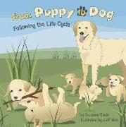 From Puppy to Dog: Following the Life Cycle