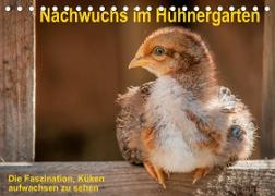 Nachwuchs im Hühnergarten (Tischkalender 2022 DIN A5 quer)