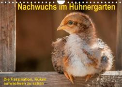 Nachwuchs im Hühnergarten (Wandkalender 2022 DIN A4 quer)