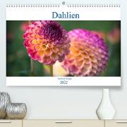Dahlien - Blumenwunder der Natur (Premium, hochwertiger DIN A2 Wandkalender 2022, Kunstdruck in Hochglanz)