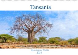 Tansania. Impressionen aus Ostafrika (Wandkalender 2022 DIN A2 quer)