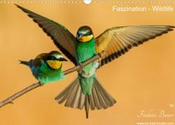 Faszination - Wildlife (Wandkalender 2022 DIN A3 quer)