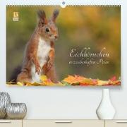 Eichhörnchen in zauberhaften Posen (Premium, hochwertiger DIN A2 Wandkalender 2022, Kunstdruck in Hochglanz)