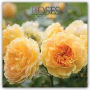 Roses - Rosen 2022 - 18-Monatskalender
