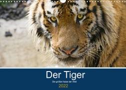 Der Tiger - die größte Katze der Welt (Wandkalender 2022 DIN A3 quer)